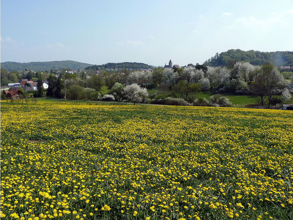 Impressionen aus Naumburg (Foto: Karl-Franz Thiede)